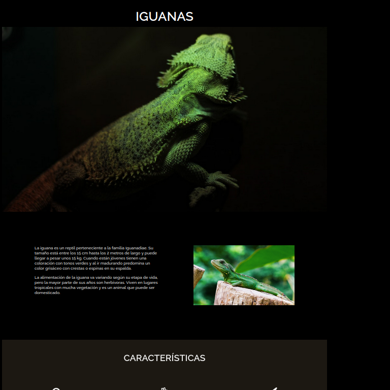 desafío iguanas
